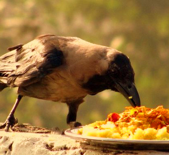 building-renovation-img